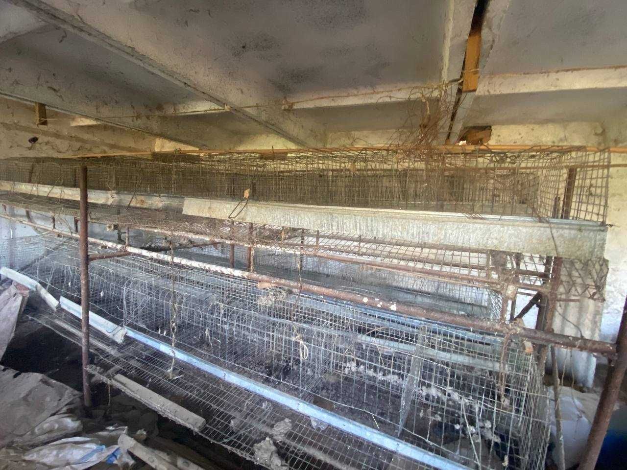800 бош товук учун ин ( катак )  сотилади. Tovuq in ( katak ) sotiladi