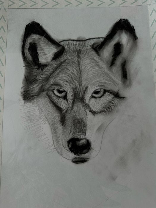 Desene alb negru animale-portret la comanda