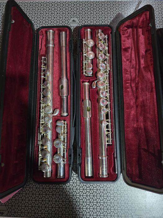 Flaute aduse din străinătate 1.100 lei buc