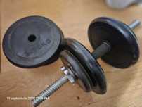 Gantere + Bara curl Bodybuilding