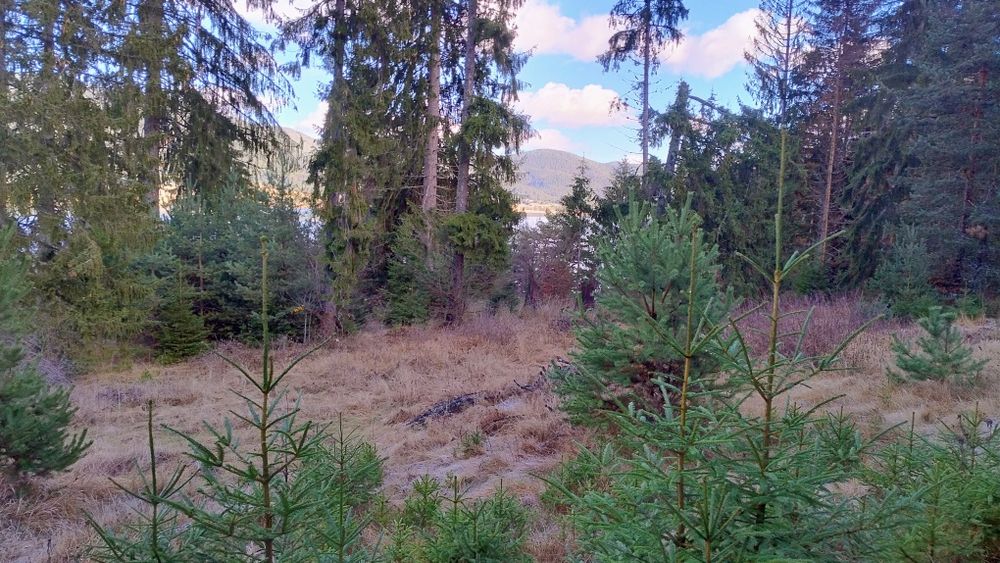 Продавам парцел.