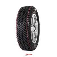 Anvelope (R14-R18) iarna 185/65 R15 Radburg TRANSPORT GRATUIT