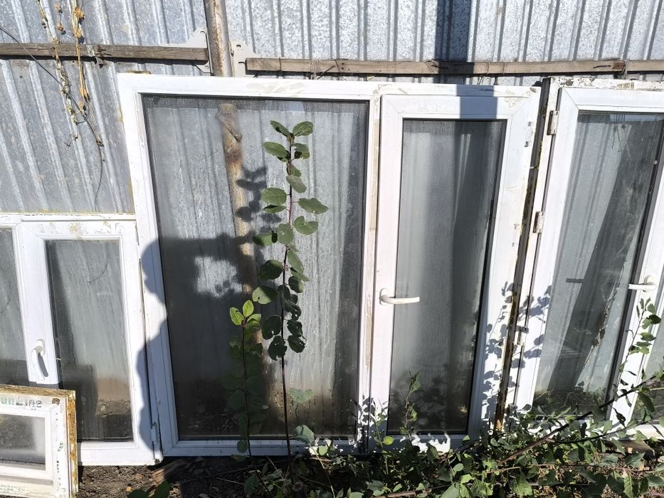 Пластиковые окна и дверь бу