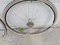 Vind Jantepe 28 Campagnolo