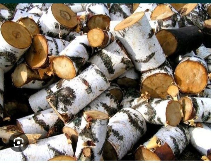 Продам дрова береза чурками