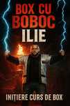 Inițiere Curs De Box