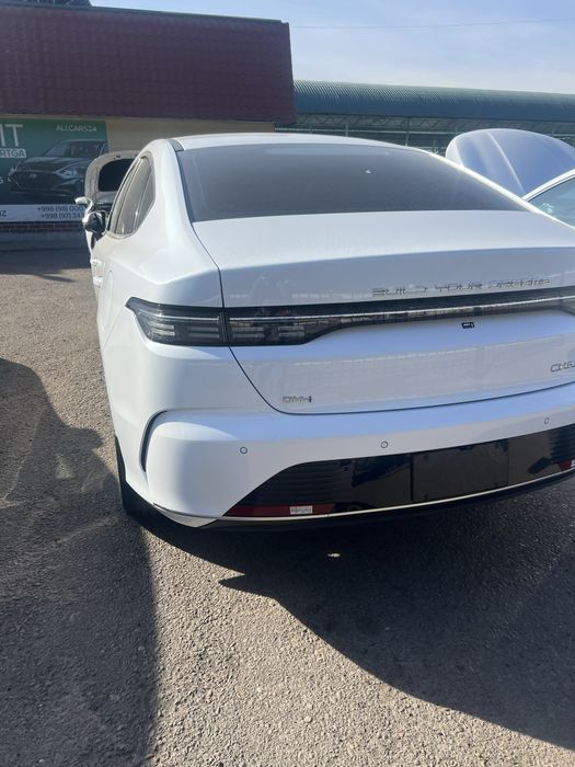 Byd chazor gibrid full