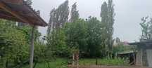 Урта Чирчик туман бойкоргон авангард  168уй