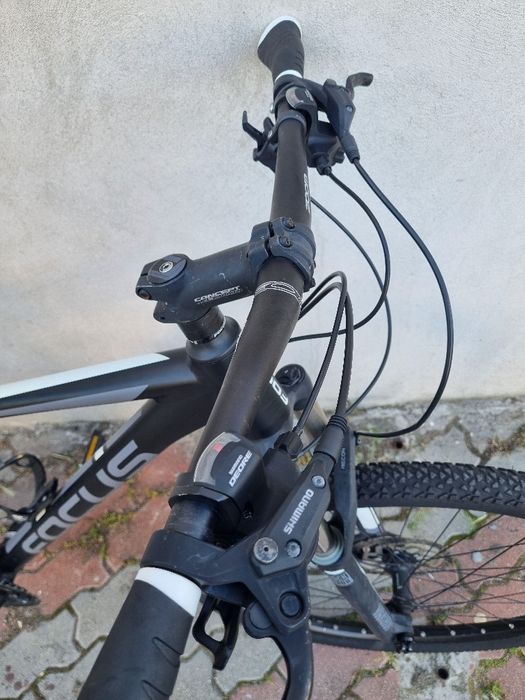 Focus black forest 29"