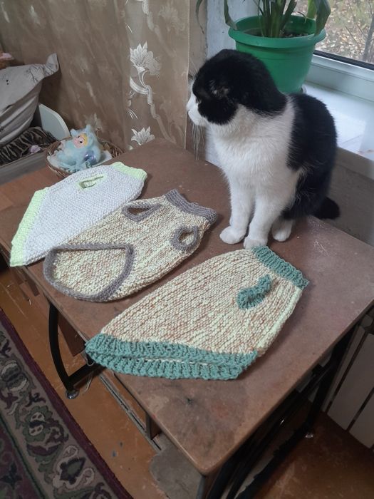 Одежда для собак и кошек