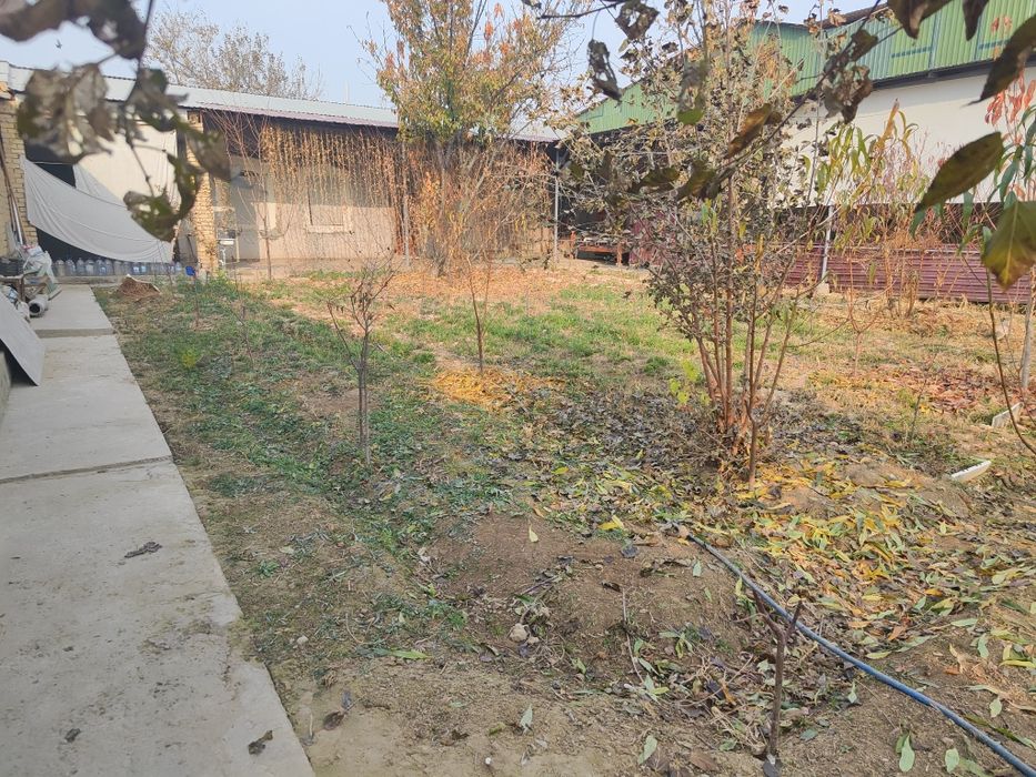 Срочно дача ховли сотилади