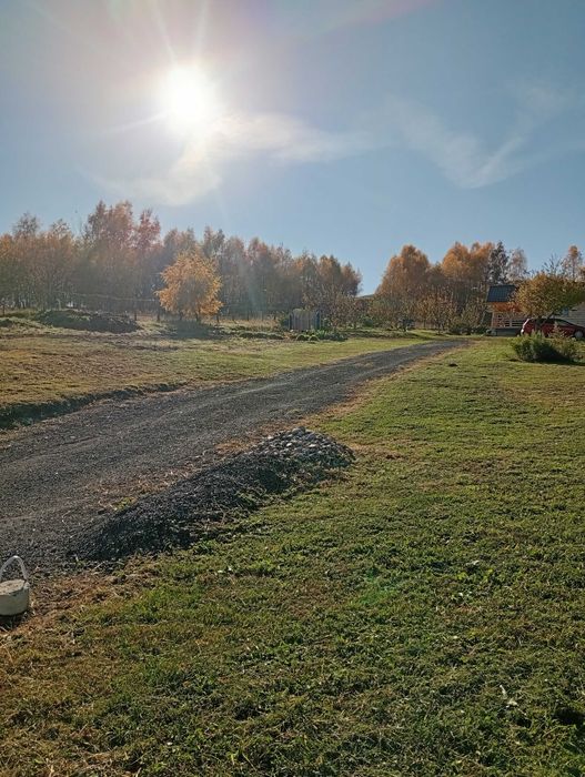 Cabana de inchiriat la marginea padurii