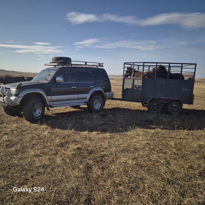 Коневозка сатамыз