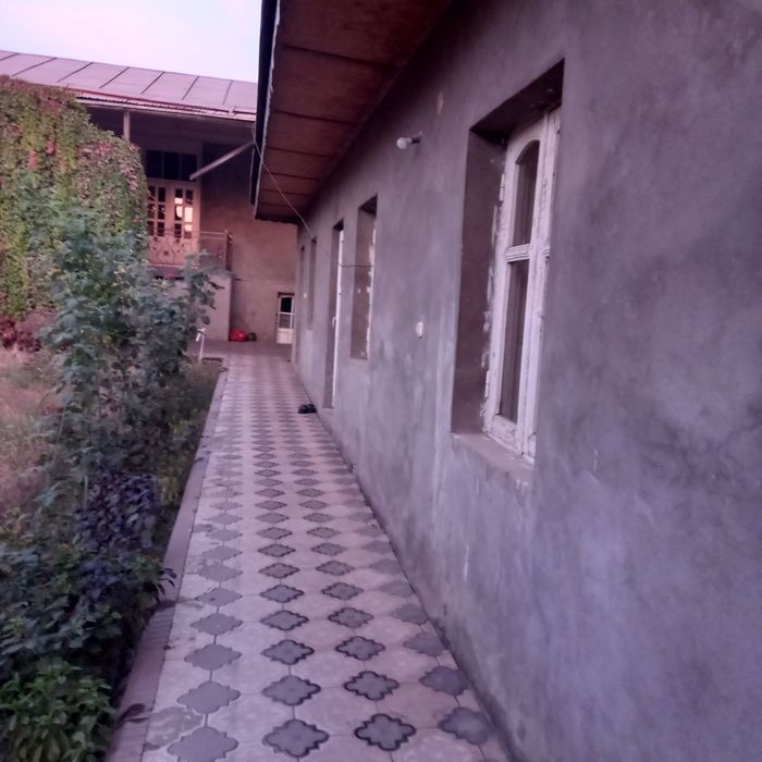 Toshkent tumani Ko'k Terak da Yer sotiladi