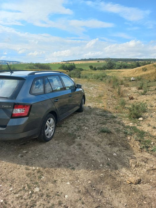 Vind Skoda Fabia