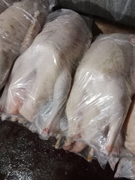 Мясо гусей, породы "Линда". Халяль