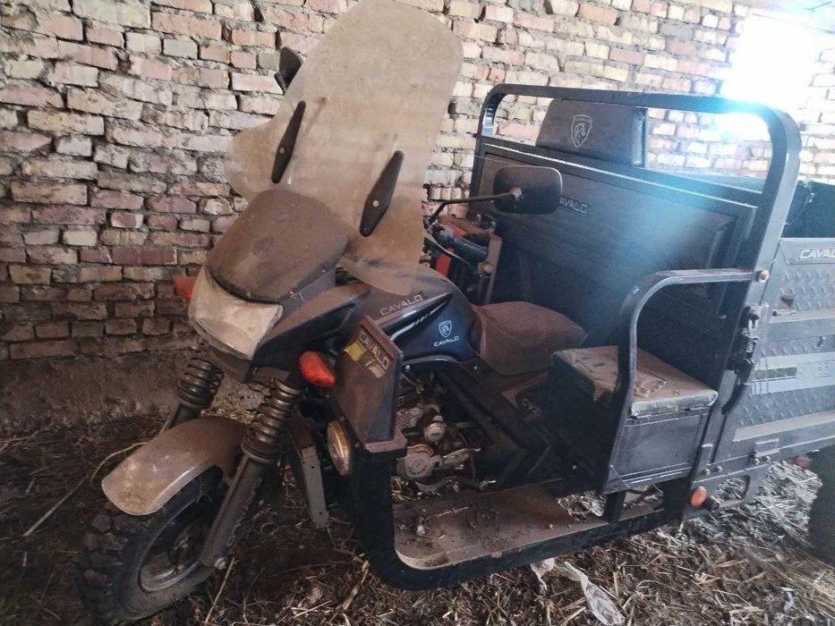 Муравей сотилади. Хужайли тумани