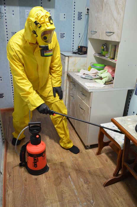 Жёстко наказываю клопов и тараканов (-за мной не надо переделовать)