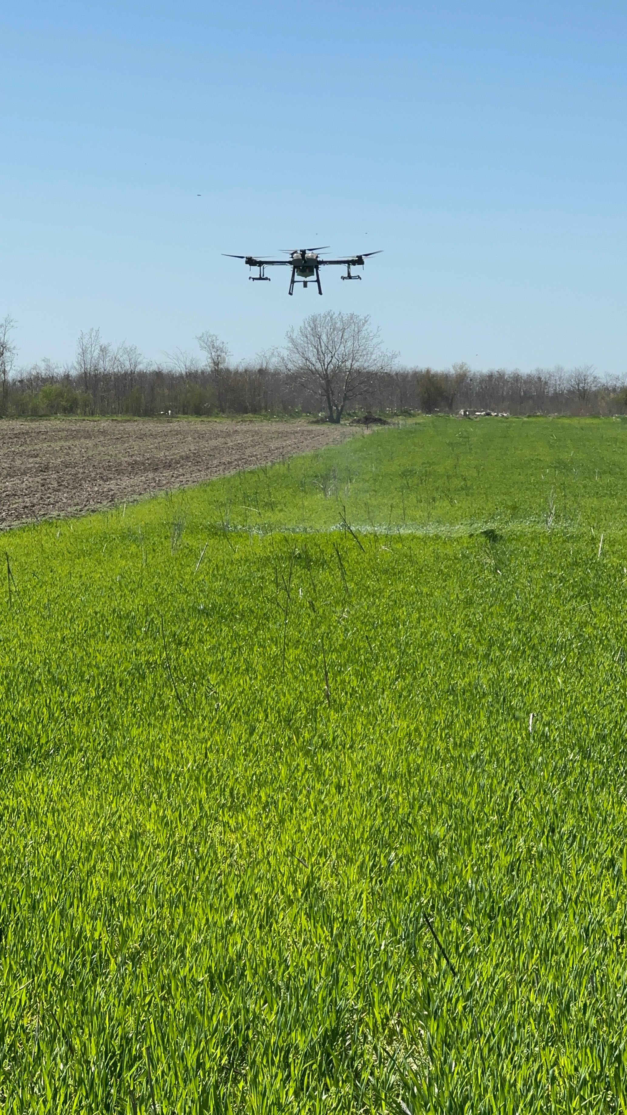 Prestarii servicii de erbicidare cu drona agricola DJI T30.