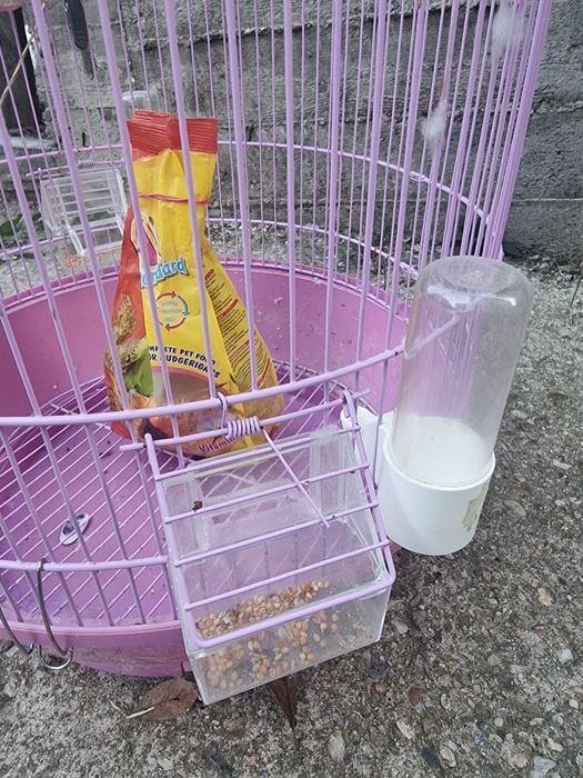 Colivie pentru papagali/pasari, 70x45cm