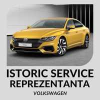 Verificare ISTORIC SERVICE VW Reprezentanta Verificare Serie Sasiu VW