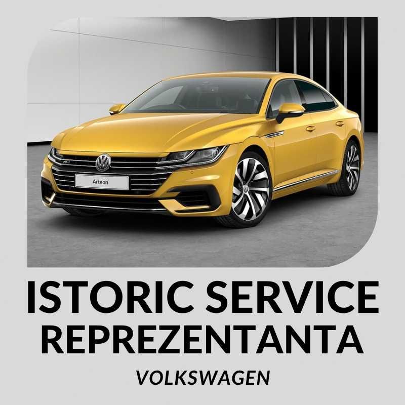 Verificare ISTORIC SERVICE VW Reprezentanta Verificare Serie Sasiu VW