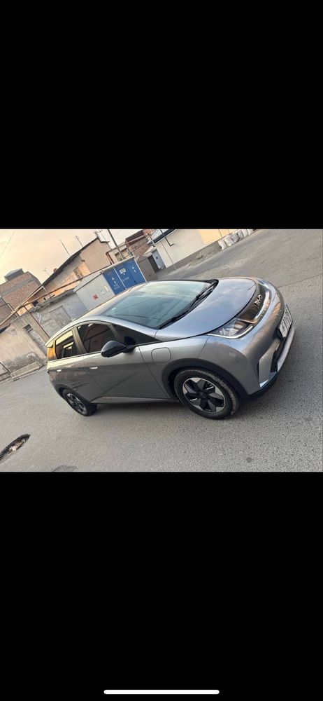 Srochna BYD Dolphin Sotiladi 2024