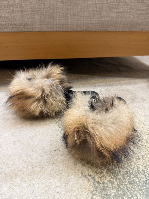 Естествен пух кецове