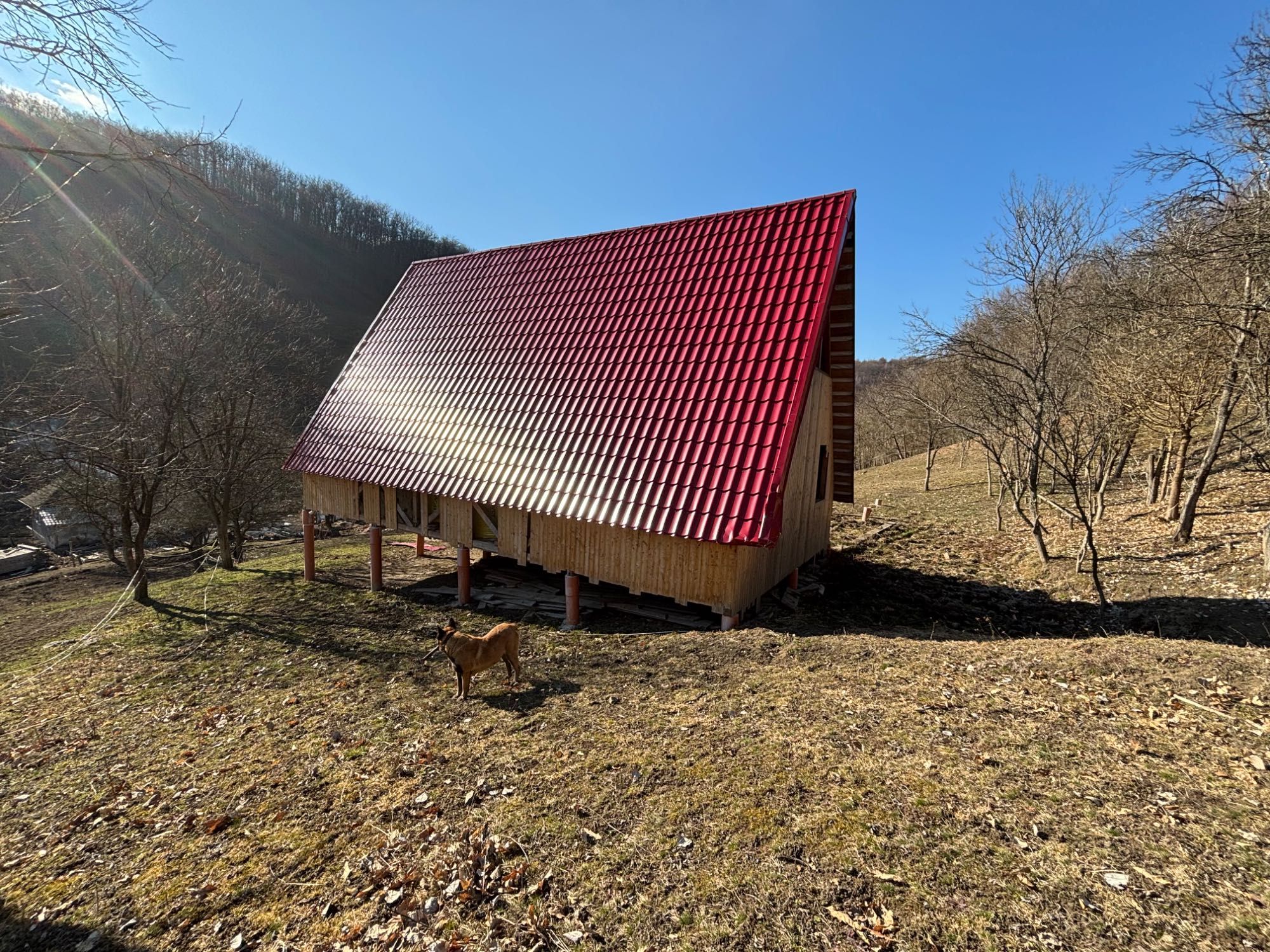 Vând lemn, tablă, - material de constructii