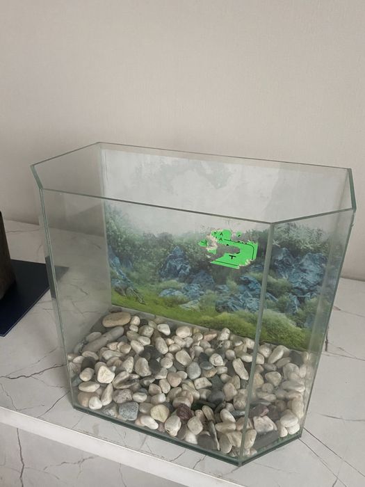 Аквариум для рыб