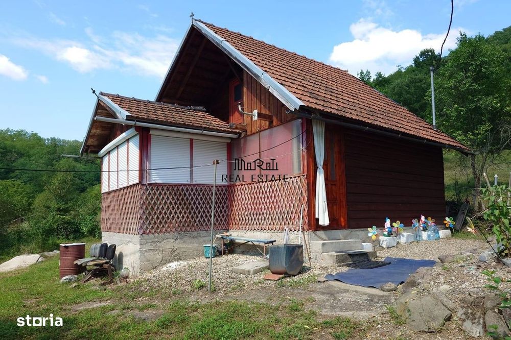 Cabana, anexe si 2000 mp teren intravilan in Taratel, Brad