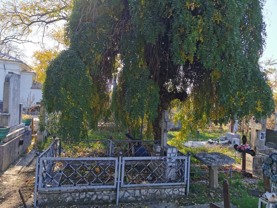 Vând donez loc de veci Eternitatea