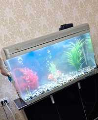 Продается аквариум с тумбой 250 литров