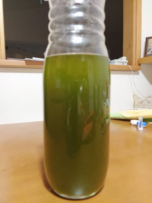 Ulei masline extra virgin brut cu pulpa manastiresc