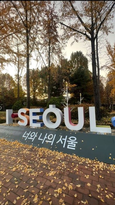 Learning Korean Individually