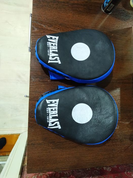 Лапы боксёрские EVERLAST