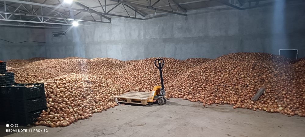 Vând ceapa de calitate. Calibru mediu spre mare