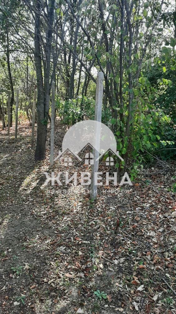 Продава се Парцел в Варна, м-т Боровец - юг - 530 кв.м за 38 €/кв.м - Снимка #3