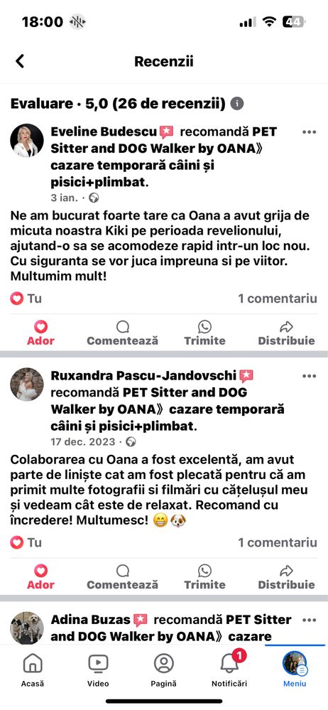 Pet Sitter SIBIU . Cazare temporară câini si pisici