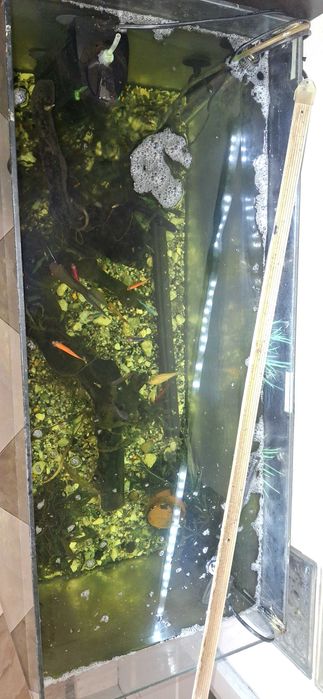 Acvariu 120 L cu mobilier complet echipat