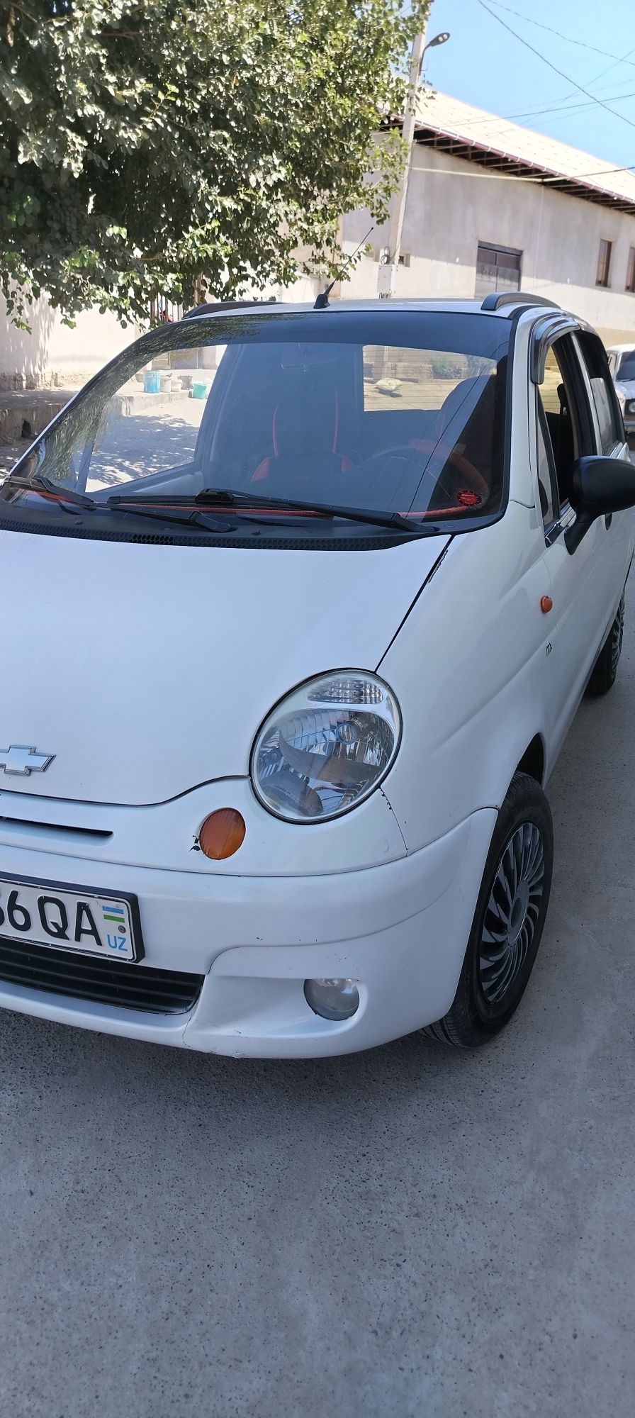Matiz soglom moshincha
