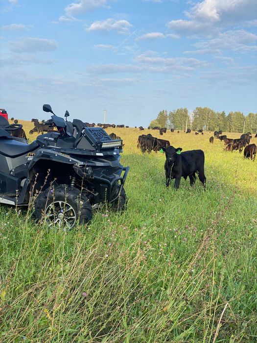 Продава акции ,акционери ,продажба на акции ,създаваме ферма ,