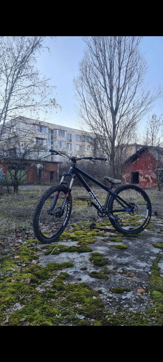 NS Bikes Zircus dirt jump FOX 36 сглобка
