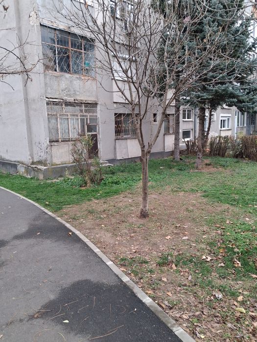 Ap 2 cam tip X parter