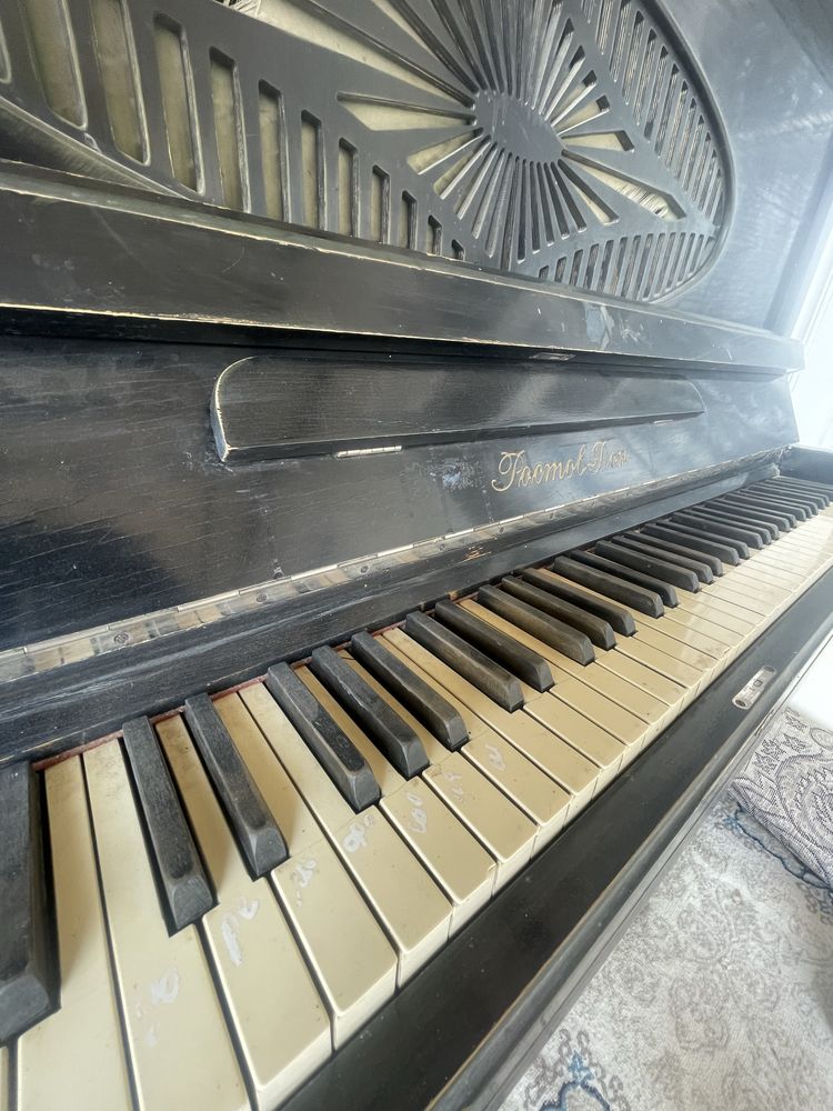 Pianina Rastov Don