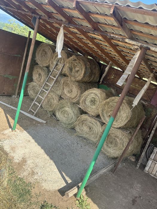 Baloți de fan productie 2025