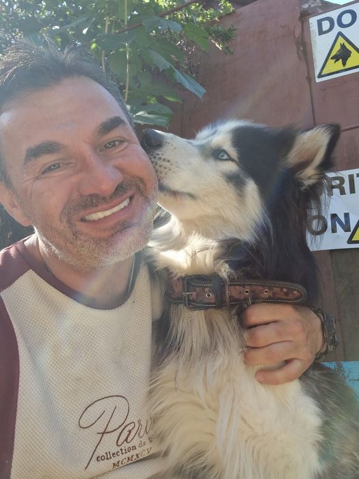 Animale de companie - TRANSPORT