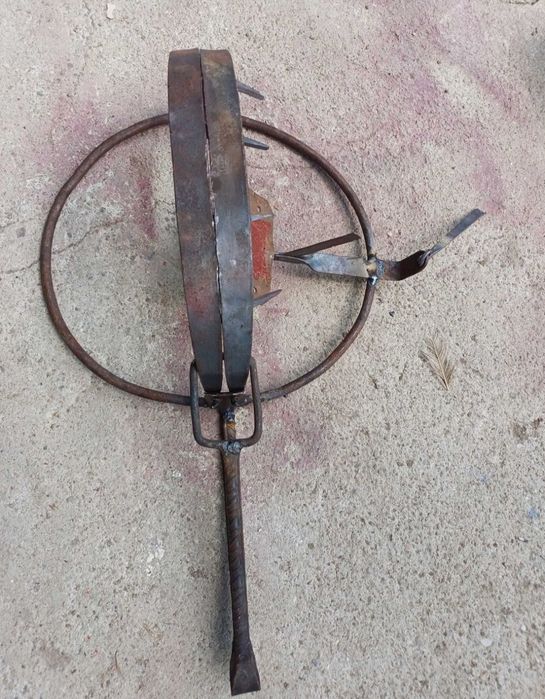 Capcana vulpi dihori șobolani