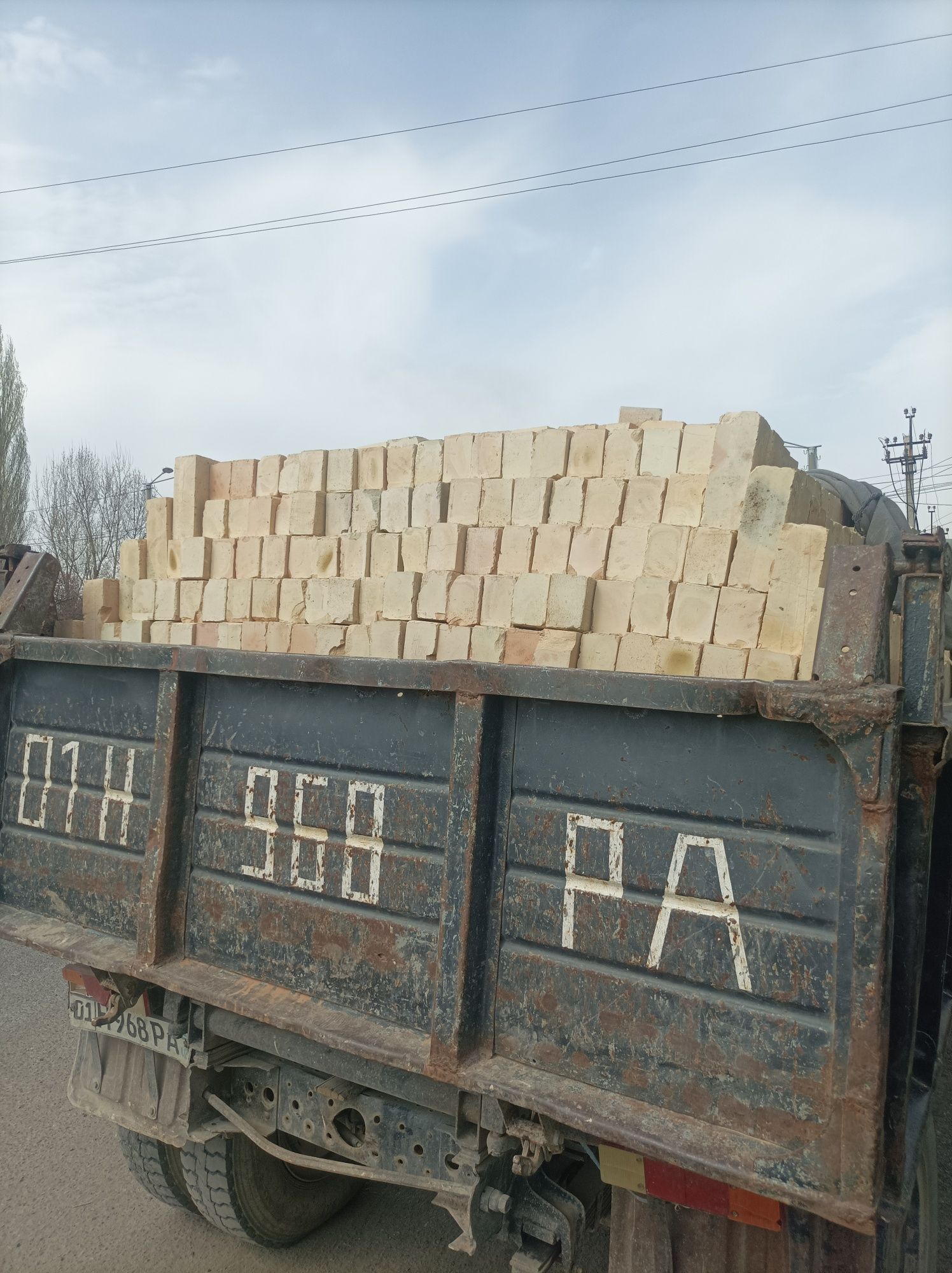 Paltara noviye kirpichi