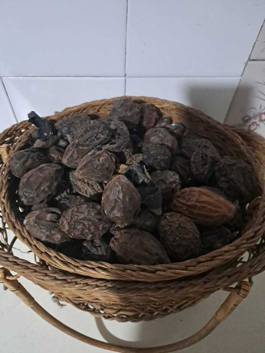 Лечебный манчжурский орех и другое